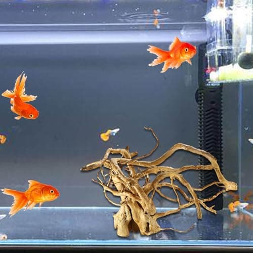 Fulenyi Plantes d'aquarium, Racine d'arbre en Bois flotté, décoration en Bois flotté, Branches en Bois Massif, décoration de Terrarium, Accessoires pour Petits Poissons