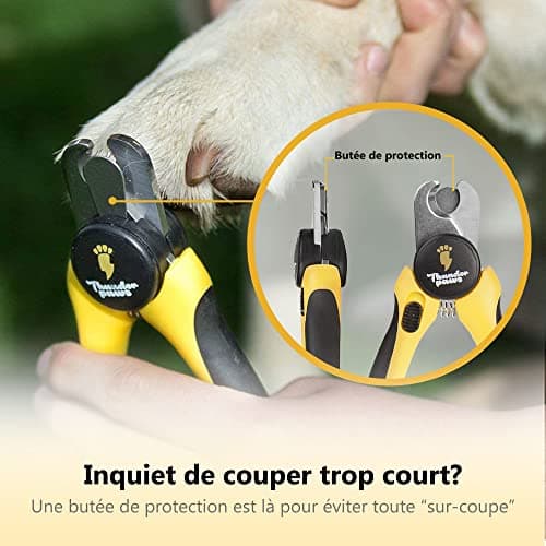 Thunderpaws Coupe-griffes professionnel pour chien avec dispositif de protection, fermeture de sécurité et lime-griffes - Convient pour les races de chiens de taille moyenne et grande