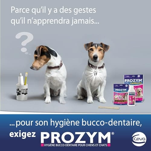PROZYM Pack 2x15 Lamelles pour Chiens - Soin Dentaire à mâcher - N°1 chez Les vétérinaires - Haleine fraîche - Anti-tartre - Anti-Plaque - Gencives saines - 30 Lamelles (L)
