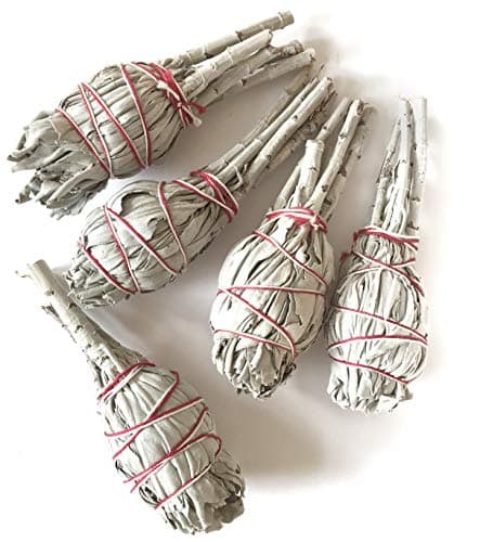 Farbenwald Lot de 5 fagots de Sauge Blanche à brûler, Environ 11 cm de Long, bâtonnets, provenant de Salvia Apiana de Californie, encens