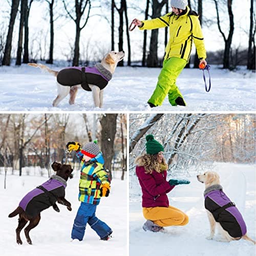 Manteau d'hiver pour Chien, Veste ImperméAble pour Chien, Veste d'hiver Chaude avec Doublure en Polaire, Manteau RéFlecteur Ajustable Et Confortable avec Trou pour Harnais pour Petits Et Moyens Chien