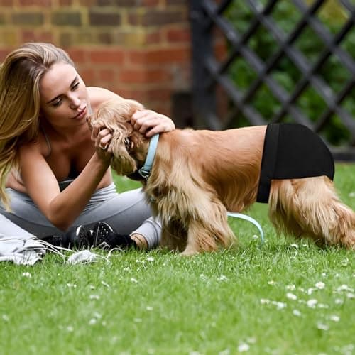 Magrimaxio Couche pour Chien Femelle, Culotte Chiennes, Lot de 3 Couches Chien Lavable avec 30 Serviettes Hygiéniques, Couche pour Chiennes en Chaleur, Culotte Menstruelle pour Chien, Noir (L)