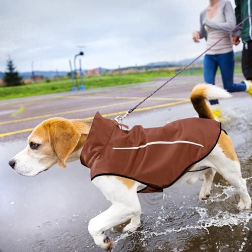Mile High Life | Imperméable pour Chien | Vêtements pour Animaux de Compagnie Ajustables et Waterproof | Veste de Pluie Légère avec Bande Réfléchissante | Facile à Enfiler (Marron, S)
