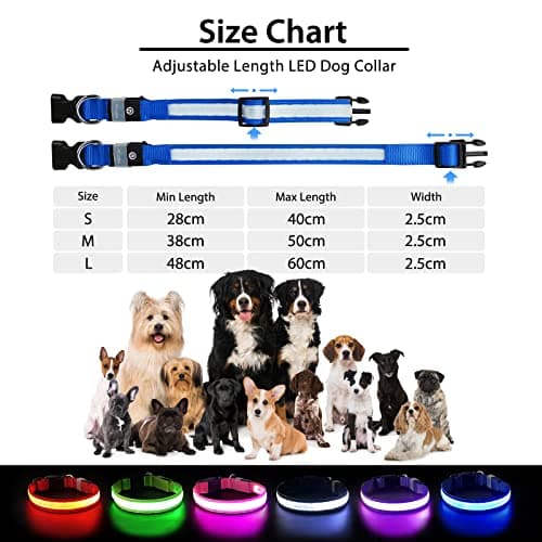 PcEoTllar Collier Lumineux Chien, Collier Chien LED Rechargeable et Etanche Clignotant, Collier Chien Fluorescent avec 7 Couleurs, Sécurité avec Réglable pour Petits Moyens Gros Chiens, Bleu-M