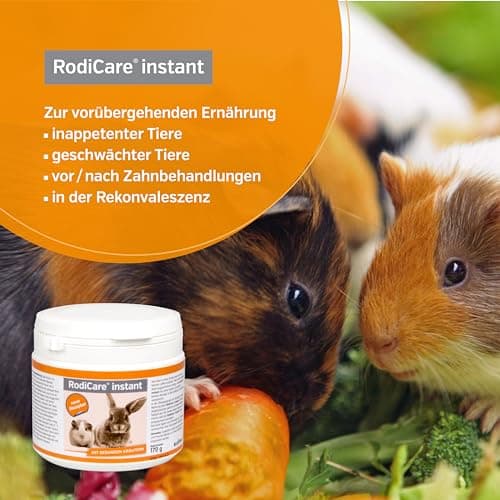alfavet RodiCare instantané Aliment pour Petits Lapins Nains, cochons d'Inde et Petits rongeurs affaiblis et sans appétit, 170 g de Poudre avec cuillère doseuse