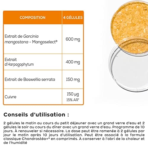 GRANIONS Chondrostéo+ Flash Articulations - 40 Gélules = 10 Jours - Mangoselect (Garcinia Mangostana), Boswellia, Harpagophytum - Confort Articulaire - Laboratoire des Granions - Marque Française