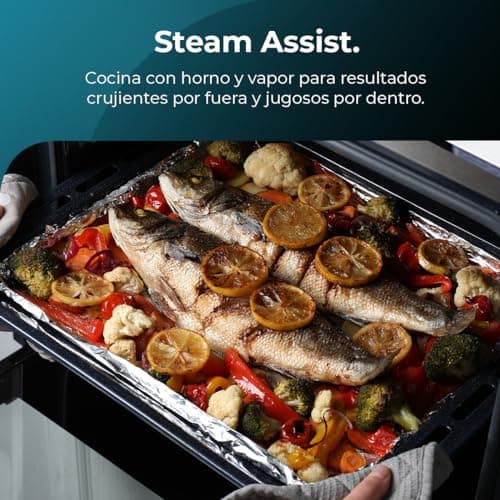Cecotec Four Encastrable Bolero Hexa C126000 Inox A. 2800 W, capacité de 77 L, 4 fonctions, Steam Assist, Steam EasyClean, Cooling Fan, Triple Vitrage, Classe Énergétique A, Lumière intérieure.