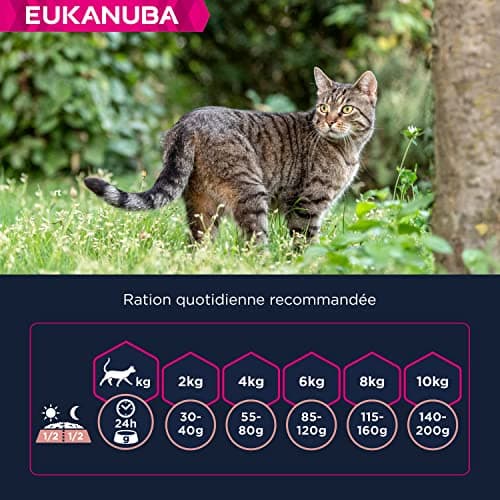 EUKANUBA – Croquettes Premium pour Chat Senior - Alimentation 100% Complète et Equilibrée - Riche en Riz – Au Poulet Frais – L-carnitine – Sans OGM, Sans Blé - Sac refermable – 2kg