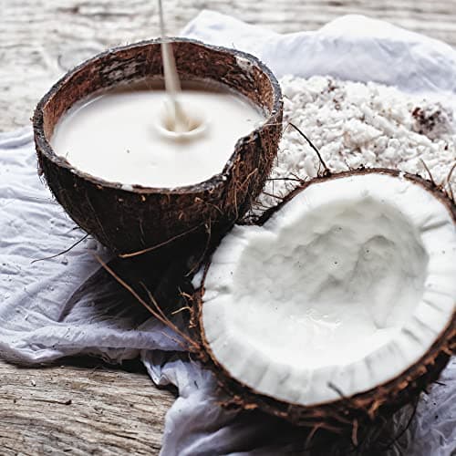 OGX | Après-Shampooing Nourishing + Coconut Milk (flacon format voyage de 89 ml) – Après-shampoing nourrissant pour tous types de cheveux – Soin cheveux hydratant au lait de coco