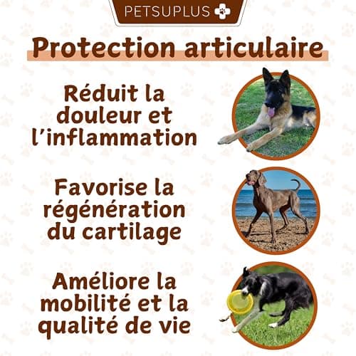 PETSUPLUS Complement Alimentaire Chien - Traitement Articulation Chiens - Chondroïtine, Glucosamine, MSM, Collagène, Acide Hyaluronique - Anti Arthrose & Douleur Articulatoires - 120 Comprimés
