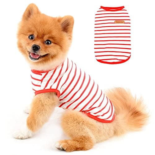 PAIDEFUL T-shirt en coton doux à rayures pour petit chien britannique pour animal de compagnie - T-shirt d'été pour chiot, chihuahua, yorkshire, yorkshire, débardeur respirant
