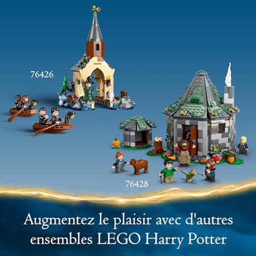 LEGO Harry Potter La Volière du Château de Poudlard, Jouet Fantastique pour Enfants, Set de Jeu d’Animaux, 3 Personnages, Idée Cadeau du Monde des Sorciers pour Filles, Garçons et Fans Dès 8 Ans 76430