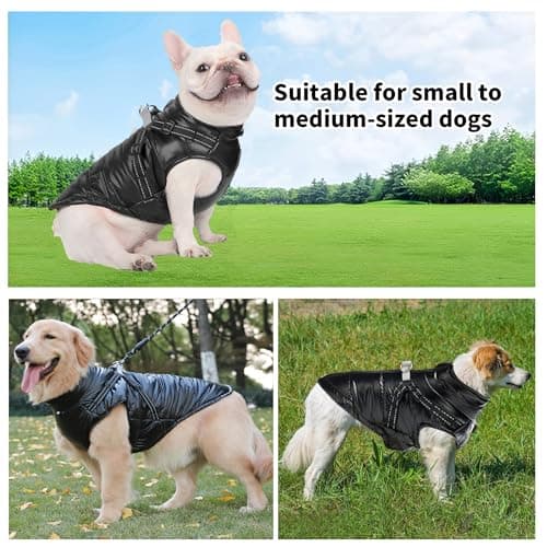 Manteau d'hiver Chaud pour Chien, Coupe-Vent Imperméable pour Chien, Gilet d'hiver pour Chien Veste d'hiver pour Petit Chien Manteau pour Chien Chiot avec Harnais(Noir L)