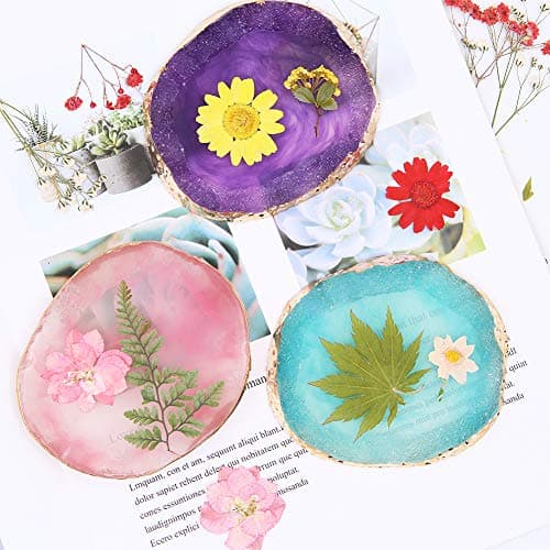 Lot de 65 véritables fleurs séchées pressées avec plusieurs pétales de fleurs séchées avec 5 marque-pages et pince à épiler pour la fabrication de bougies, loisirs créatifs, bijoux en résine, nail art