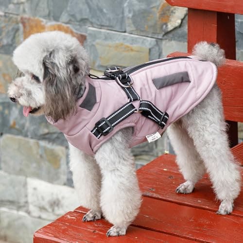 Oslueidy Vestes d'hiver pour Chiens, Manteaux Chauds pour Chiens Vêtements réfléchissants pour Chien Gilet imperméable pour Chiot avec Harnais pour Chiens de Petite et Moyenne Taille (Violet, XXL)