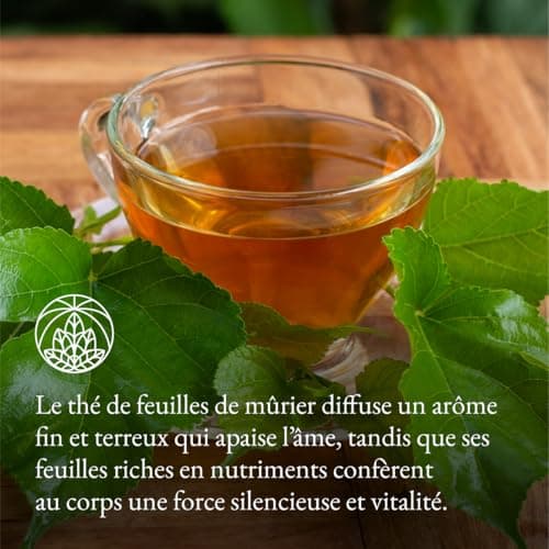 Tisane de feuilles de mûrier Monte Nativo (300 g) - 100% pur et naturel, sans additifs - Feuilles de mûrier comme tisane ou cadeau de thé - Tisane aromatique - Thé aux fruits - Thé Chaud ou Thé glacé
