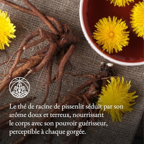 Tisane de racine de pissenlit Monte Nativo (300 g) - 100% pure et naturelle, sans additifs - Pissenlit comme tisane ou cadeau de thé - Tisane aromatique - Thé aux fruits - Thé Chaud ou Thé glacé