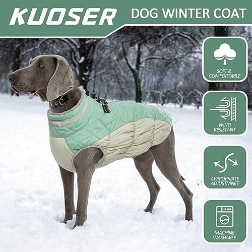 Kuoser Manteau Imperméable pour Chien, Veste d'hiver Chaude pour Chien Coupe-Vent, Gilet Réfléchissant Doublure en Polaire et Col en Fourrure, Vêtements d'Extérieur pour Chiot avec Anneau en D