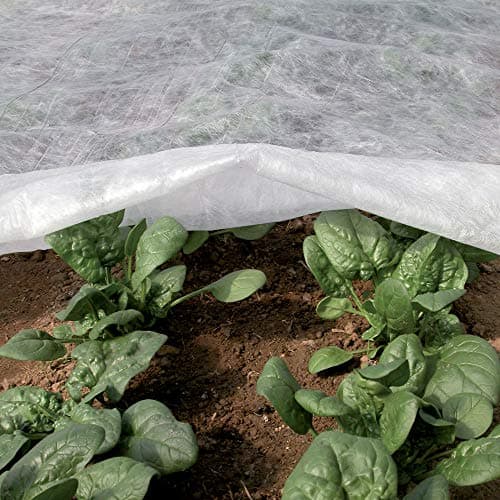 TENAX Ortoclima Plus 2,40x10 m Blanc, Voile d'Hivernage pour Plantes et Cultures, en Tissu Non Tissé 30 g/m2, Protège les Plantes, Fleurs et Légumes du Froid, du Gel et du Vent