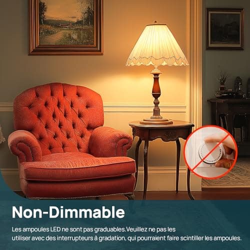 Linkind Ampoule LED E27 Blanc Chaud, 13W Equivalent 100W, 2700k Lumière Blanche Chaude 1521lm, Ampoule Standar A60 Gros Culot à Vis, No Dimmable, 220v-240v, Lot de 6