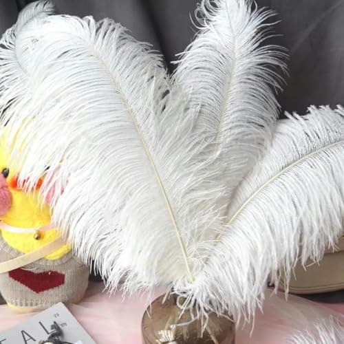 pièces 15-70 cm grandes Plumes d'autruche plumes d'autruche blanches Plumes de Carnaval centres de Table fête accessoires de mariage décoration-25-30 cm petit poteau