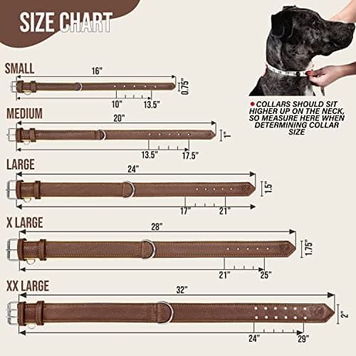 Riparo Collier pour Chien en Cuir véritable (Marron, L: 3,8 cm de Large pour 45,7 cm - 53,3 cm de Cou)