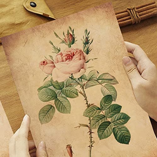 25 Feuilles Papier Parchemin Vintage Format DIN A4 pour Invitation d'anniversaire Calligraphie Imprimé Recto Verso