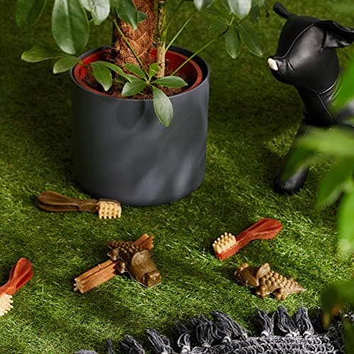 WHIMZEES by Wellness, Friandises Naturelles pour l'Hygiène Bucco-Dentaire à Mâcher pour Chien de Taille Moyenne, Boîte de Variété, Taille M, Boîte de 28 Pièces