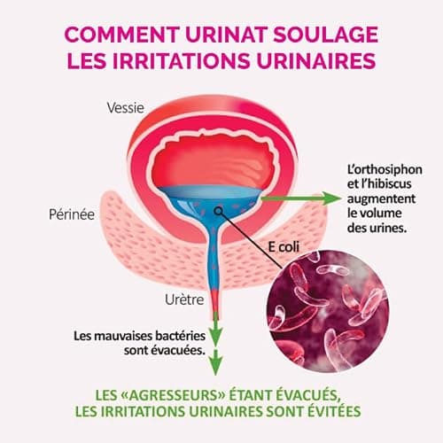 Laboratoire NaturAvignon Urinat | Inconforts urinaire et intime | Cranberry, Hibiscus et Orthosiphon | 36 mg de PACs | Efficacité prouvée scientifiquement | Fabriqué en France | 30 comprimés (15jours)