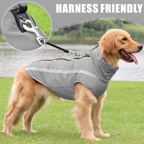Dolahovy Manteau imperméable pour Chien, Veste Chaude pour Animaux de Compagnie en Hiver Manteau pour Chien vêtements pour Chiens vêtements réfléchissants (Gris, 4XL)