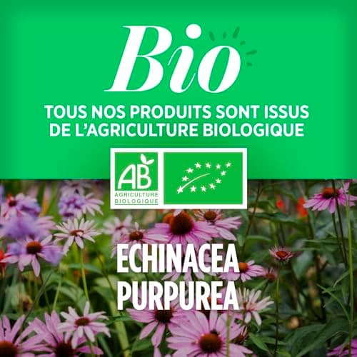 Echinacéa bio AB 400mg - 200 comprimés