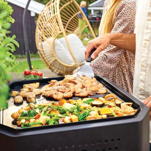 cozze Plancha de Cuisson à Gaz Haut de Gamme Cozze® - Puissance 7.5 kW, Surface de Cuisson 80x50 cm, Design Élégant, Allumage Électronique, Noir et Acier Inoxydable