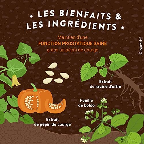 Natésis — Confort Prostate Bio — 100 Gélules — Troubles Urinaires Hommes — Complexe Efficace de Haute Qualité Extraits de Pépin de Courge, Racine d’Ortie et Feuille de Boldo
