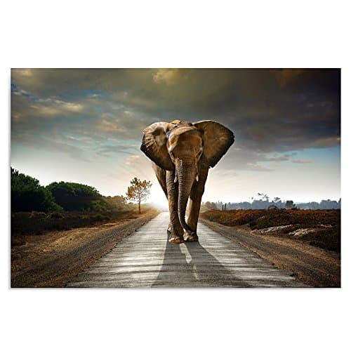 Feeby Impression Sur Toile Éléphant Brun 60x40 cm Tableaux Tableau Mural Image Moderne Photo Décoration Murale Artistique Photographie Design Chambre Salon Cuisine Gris Vert