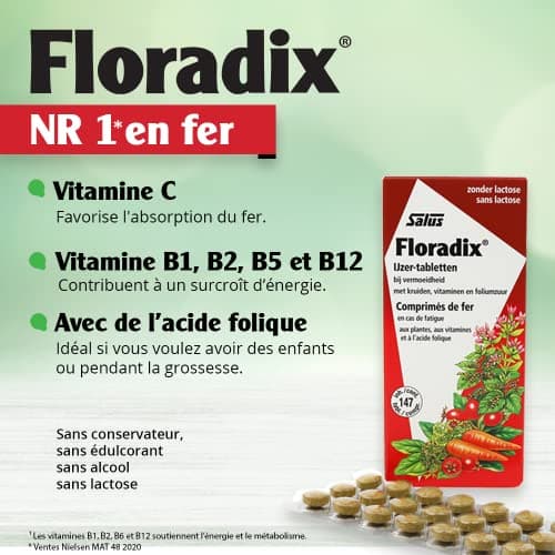 Salus Floradix Fer + Plantes - Formule Liquide Anti-Fatigue Riche en Fer - Enrichi en Vitamine C pour une Bonne Absorption - 84 comprimés