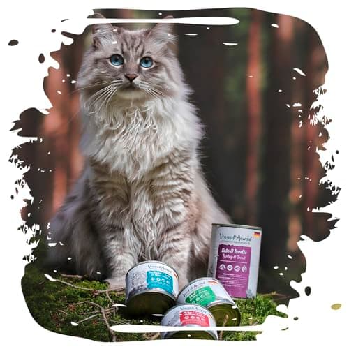 Venandi Animal Premium Nourriture Humide pour Chats, Pack d'essai II, Poulet + Lapin, Veau, Dinde, 6 x 400 g, sans céréales et Naturel, 2.4 kg