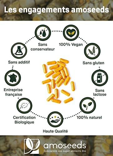 Curcuma BIO Haute Concentration | Avec Gingembre Bio | Curcumine Haute Absorption | Sans Pipérine | Articulations | 120 Gélules | Qualité Supérieure