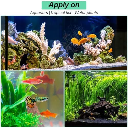 Heveer Moniteur de CO2 pour Aquarium avec Ventouse Test de CO2 pour Aquarium Drop Checker CO2 en Verre pour Aquarium d'eau Douce 2 Pièces