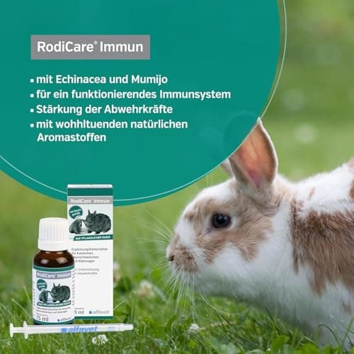 alfavet RodiCare Immun, Multipack, renforcement du système immunitaire pour Lapins, cochons d'Inde et Petits rongeurs, complément Alimentaire, 2 x 15 ML, seringue doseuse