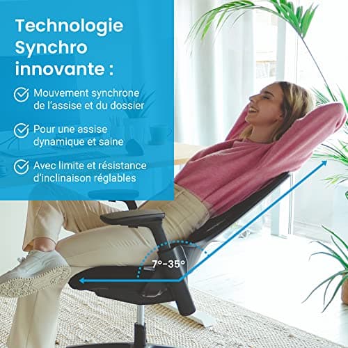 Ergotopia Nextback Chaise de Bureau Ergonomique – Fauteuil pivotant avec Appui-lordose réglable & accoudoirs – Chaise Ergonomique avec Appui-tête – Fauteuil de Bureau en Mesh