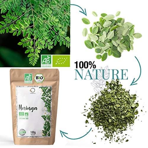 ORIGEENS INFUSION BIO 100g, MORINGA FEUILLES SECHEES The en vrac sans théine, Tisane Revitalisante