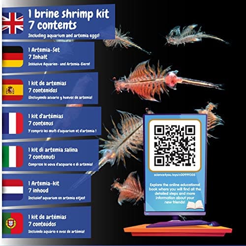Science4you Artemia Créatures Aquatiques (Famille de Triops) Kit - Jouet Experiences scientifiques Enfants 5 6 7 8+ Ans - Créer Un écosystème pour Les Dragons d'eau Animaux Marins avec Petit Aquarium