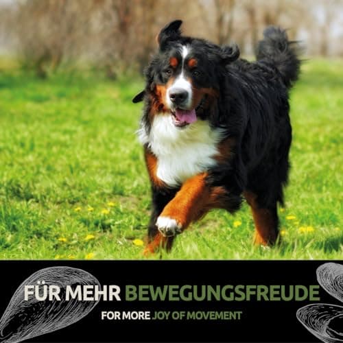 GreenPet Poudre de Vert Lipp Coquillage 100 g, Articulations, Joint, Mouvement pour Chiens et Chats