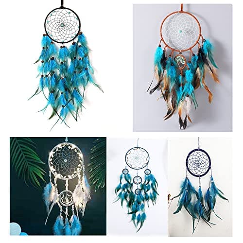 Csirnto Plumes 200 Pièces Naturelles Plumes de Coq Artisanat Plumes Décoration Coq Plume Plumes de Poulet Plumes de Faisan Plumes Naturelles pour Artisanat DIY Dream Catcher Costume Décoration