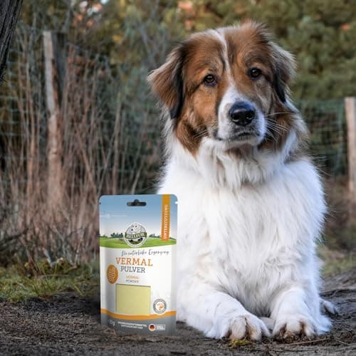 Vermifuge Naturel pour Chien Vermal de Bellfor - 80 g. Prophylaxie Contre Les Infestations de vers avec Farine de Coco et Graines de Courge, Renforce Le Système Immunitaire.