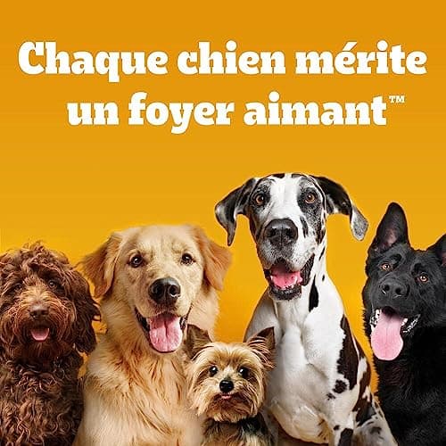 PEDIGREE DENTASTIX 56 Bâtonnets à Mâcher Bucco-Dentaires pour Petit Chien 5-10kg (Lot de 8 Sachets de 7 Friandises) - Hygiène, Scientifiquement Prouvé, Nettoyage Dents au Quotidien