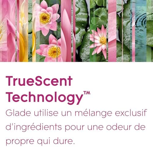 Glade Automatic Spray Diffuseur Relaxing Zen - Infusé Aux Huiles Essentielles