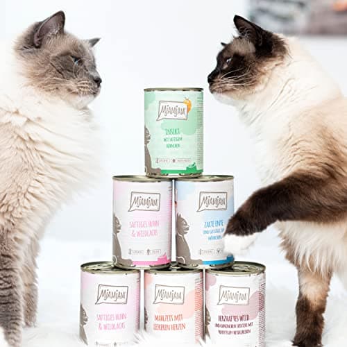 MjAMjAM - nourriture humide premium pour chats - pack d'essai, pack de 12 (12 x 125 g), sans céréales avec supplément de viande