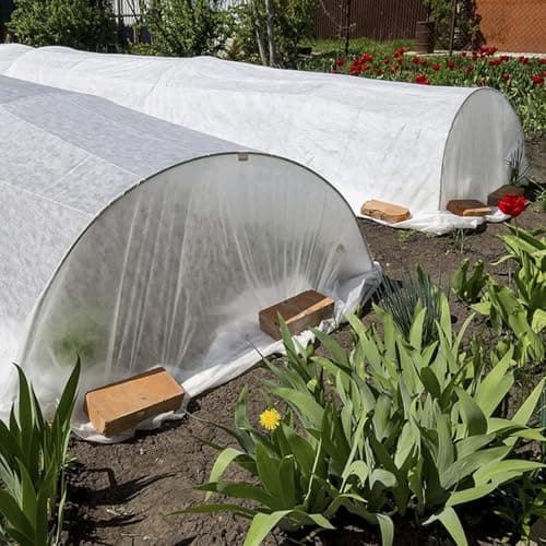 Trlyane Voile d'Hivernage pour Plantes Exterieur 2m x 5m, Non-tissée de Protection Hivernale, en Tissu Non Tissé 30 g/m2, Protège Les Plantes, Fleurs et Légumes du Froid, du Gel et du Vent