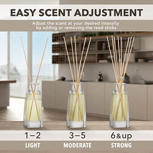Diffuseur Parfum de Vanille 100ml - Naturel Fragrance Fraîche et Durable - Kit Diffuseur Cadeau avec 10 Bâtonnets de Bambou - Meilleur pour Aromathérapie